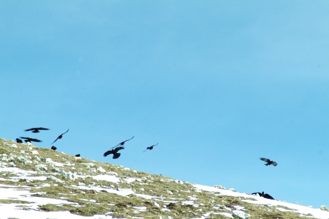 Versante laziale del Parco Nazionale d''Abruzzo